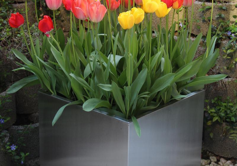 酒店 Tulip Inn Beaulieu Lausanne