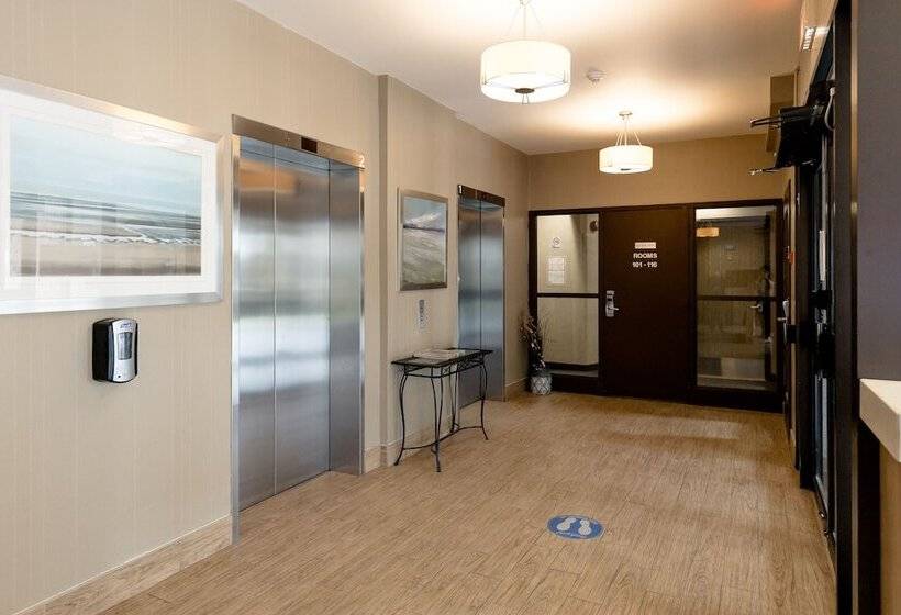 酒店 Welcominns Ottawa