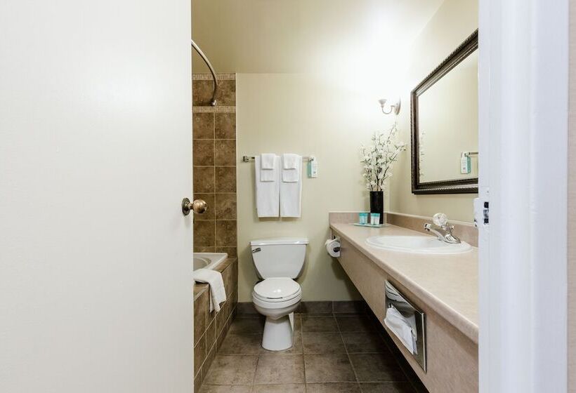 酒店 Welcominns Ottawa