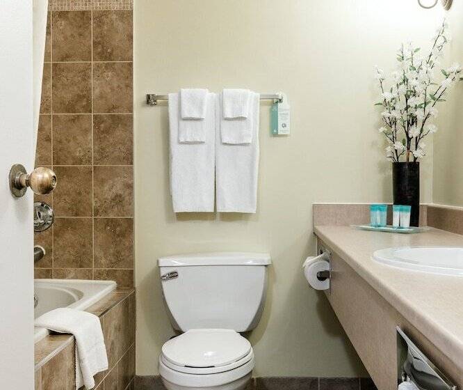 酒店 Welcominns Ottawa