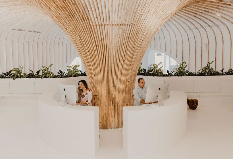 Meraki Resort  Adults Only