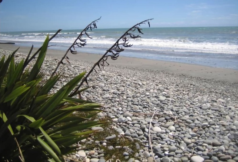 מוטל Buller Court On Palmerston