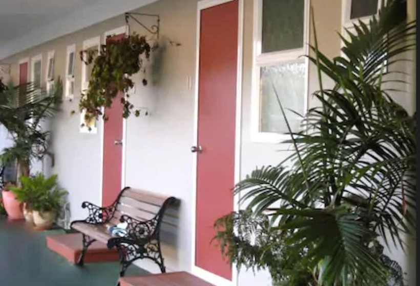 מוטל Buller Court On Palmerston