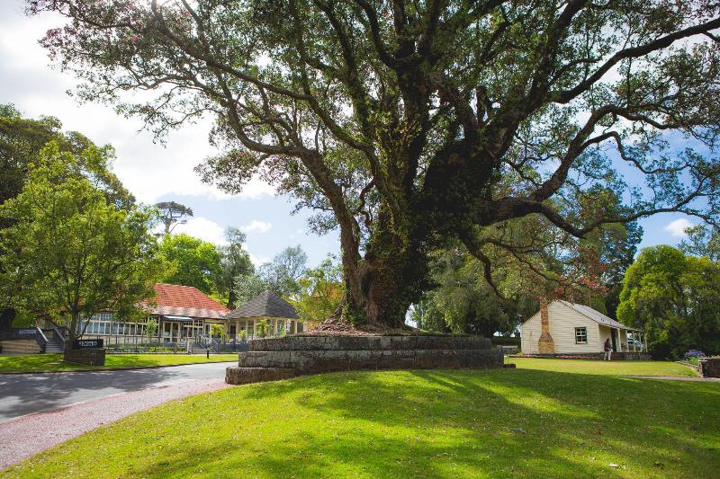 Мотель Knights Inn