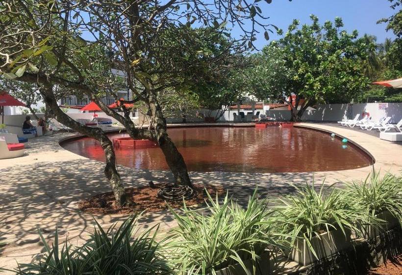 リゾートホテル Calamander Unawatuna Beach