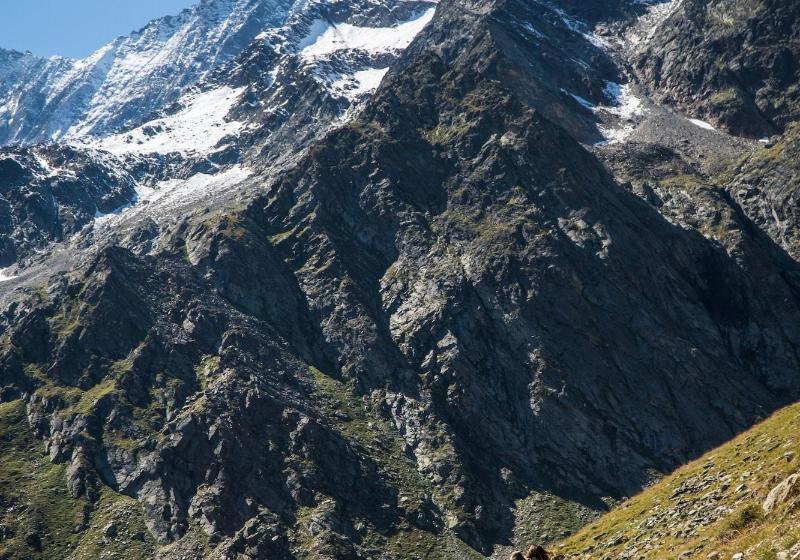 リゾートホテル Walliserhof Grand Hotel & Spa Relais & Châteaux