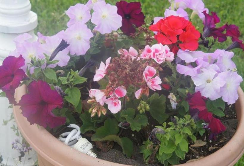 Welcome Traveller Motel