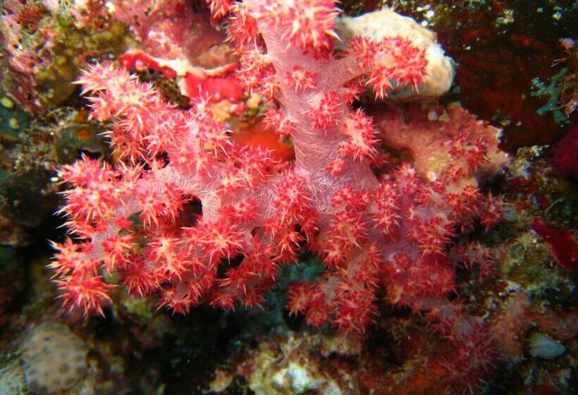 Garden Island Resort