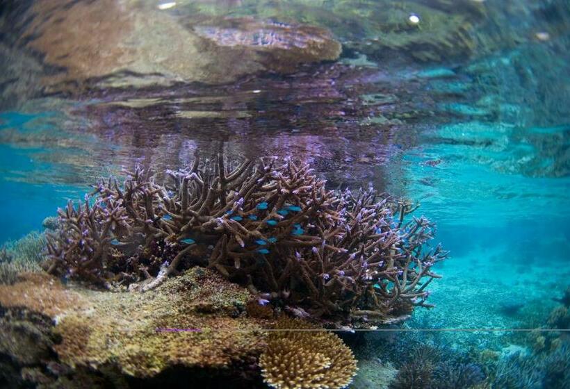 Garden Island Resort