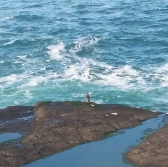 فندق Aran View Country House