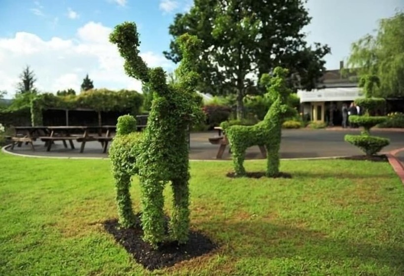 בית מלון כפרי Cahir House