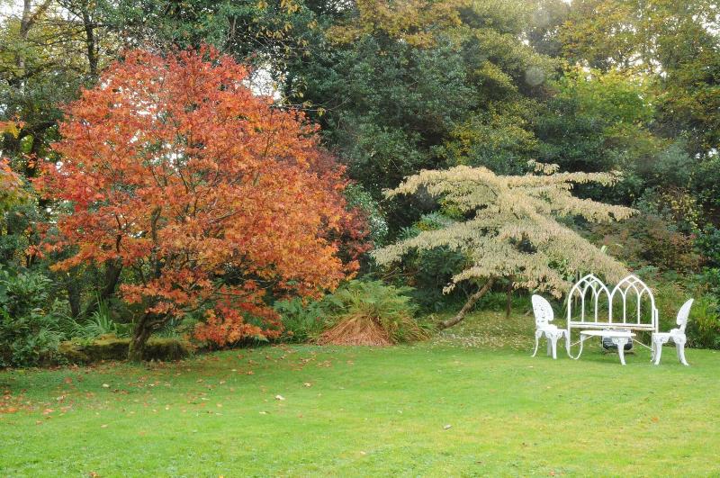 فندق Cashel House