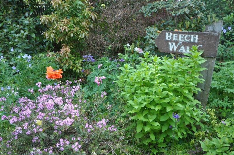 בית מלון כפרי Cashel House