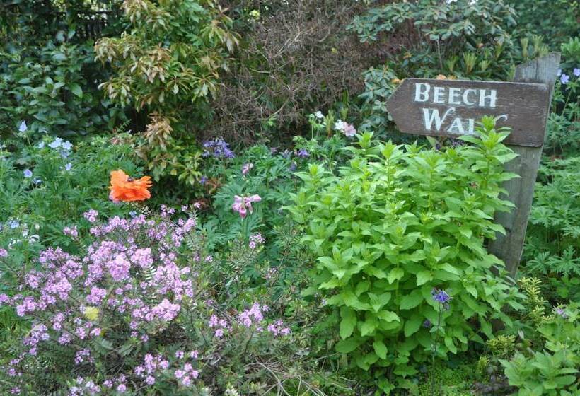 בית מלון כפרי Cashel House