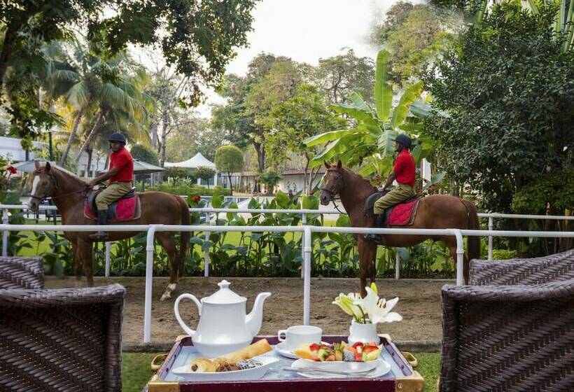 酒店 Jehan Numa Palace