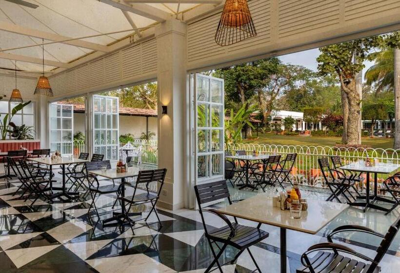 酒店 Jehan Numa Palace