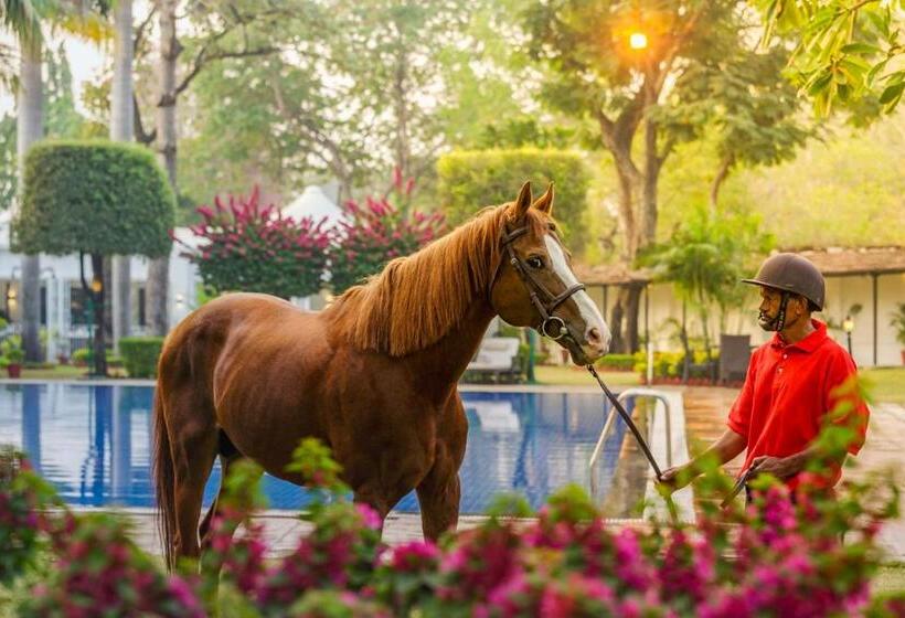 酒店 Jehan Numa Palace