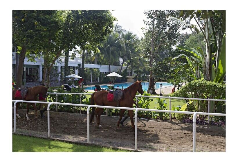 酒店 Jehan Numa Palace