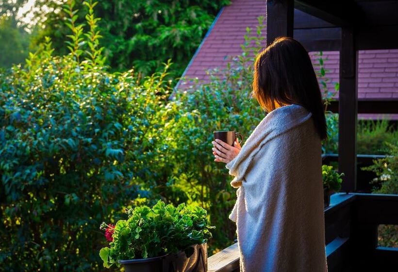 酒店 Petneházy Apart