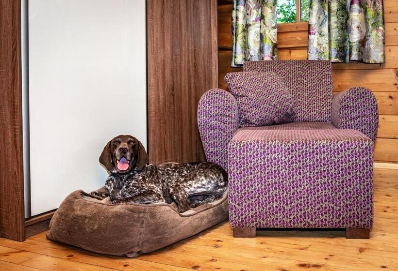 酒店 Petneházy Apart