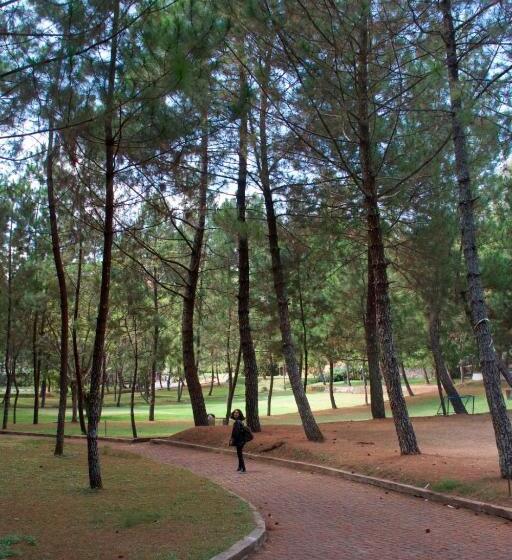 호텔 Puteri Gunung