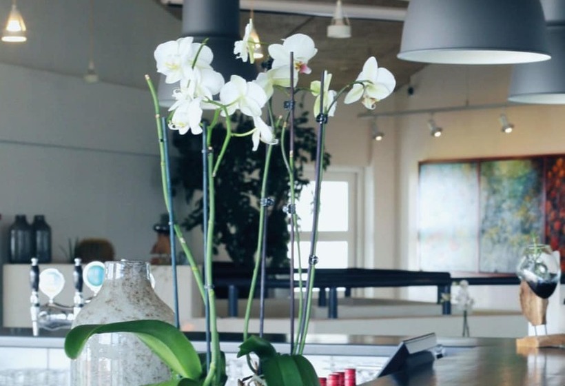 ærø Hotel   Adults Only