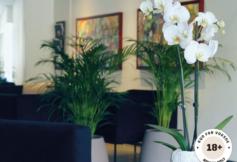 ærø Hotel   Adults Only