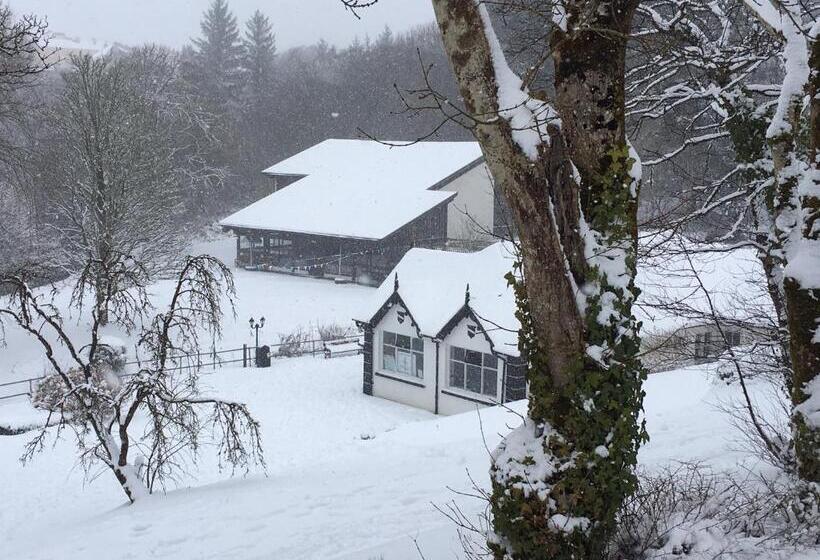 בית מלון כפרי Rathbaun