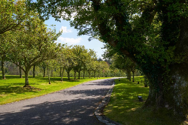 호텔 Sheen Falls Lodge