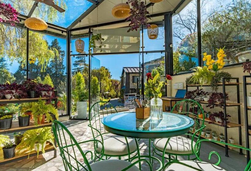 בית מלון כפרי Shervani Hilltop Resort