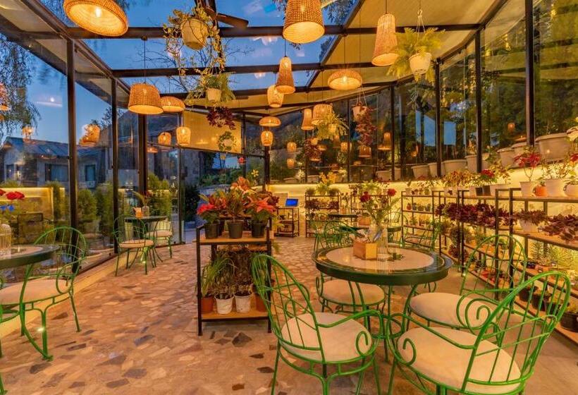 בית מלון כפרי Shervani Hilltop Resort