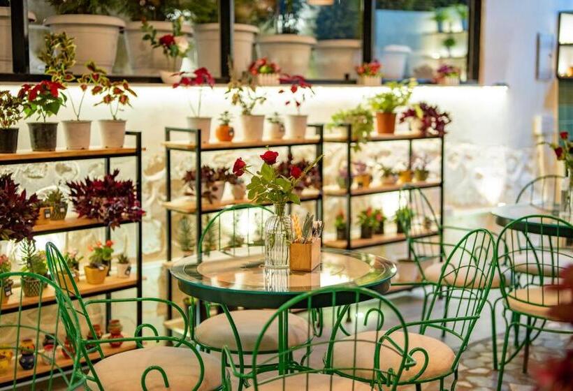 בית מלון כפרי Shervani Hilltop Resort