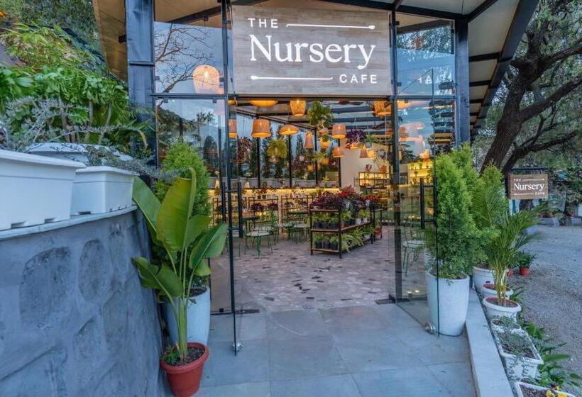 בית מלון כפרי Shervani Hilltop Resort