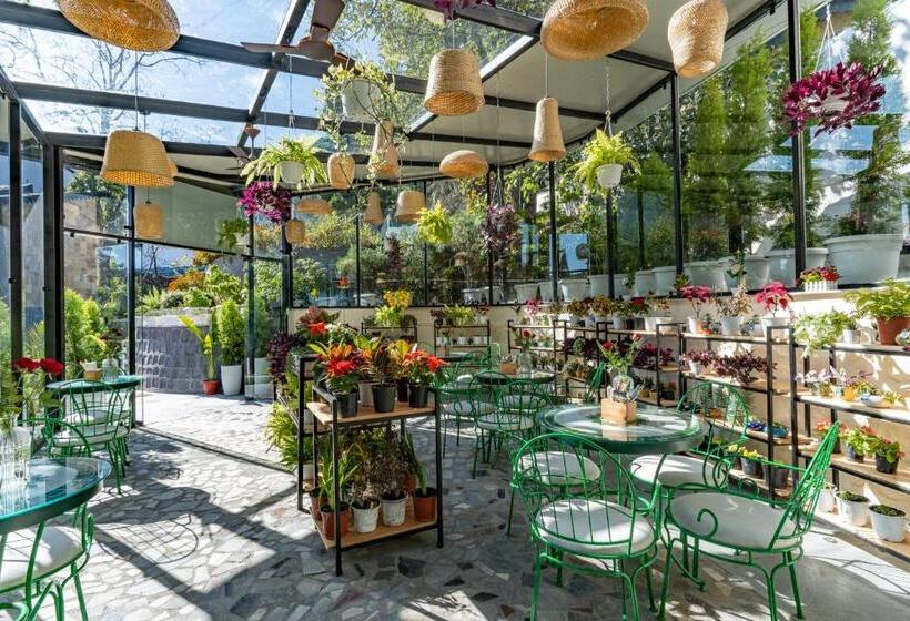 בית מלון כפרי Shervani Hilltop Resort