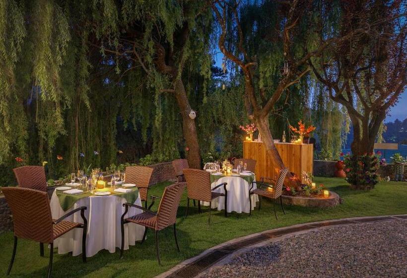 בית מלון כפרי Shervani Hilltop Resort