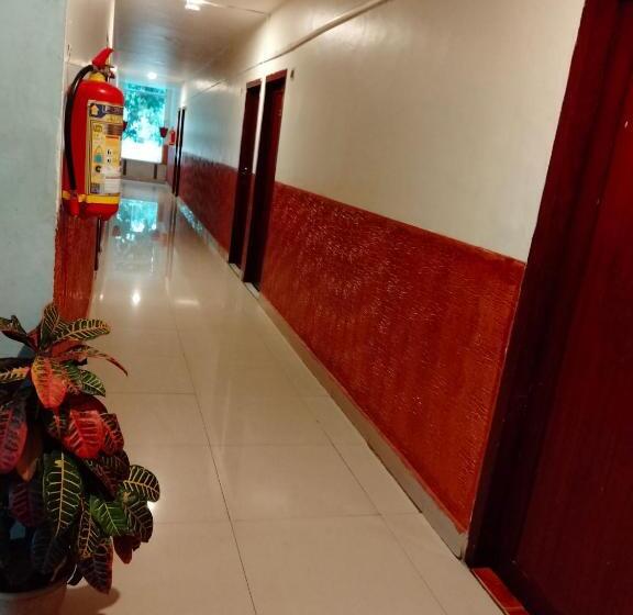 בית מלון כפרי Silver Sand