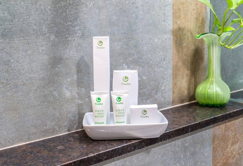 Отель Treebo Ambassador