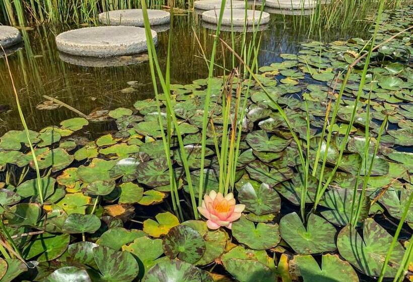 Hunguest Hotel Freya