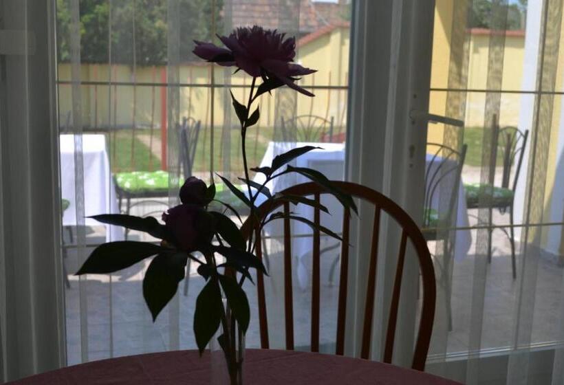 모텔 Kiskut Liget Pension