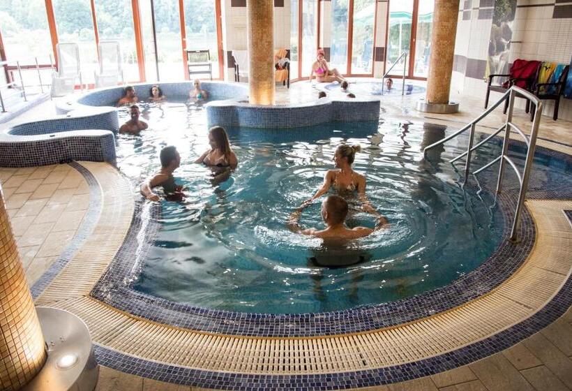 מוטל To Wellness