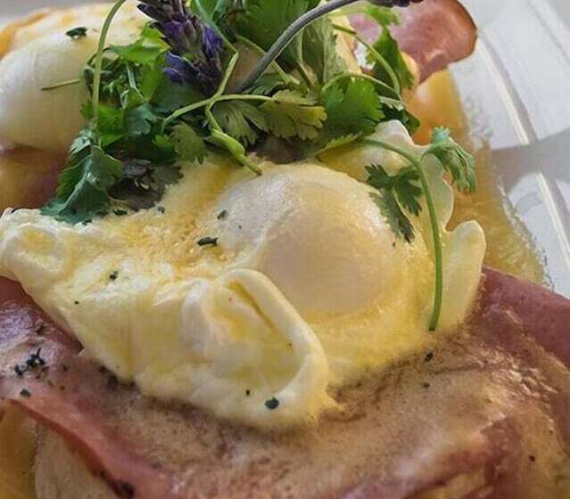 Boulders Beach Hotel, Cafe And Curio