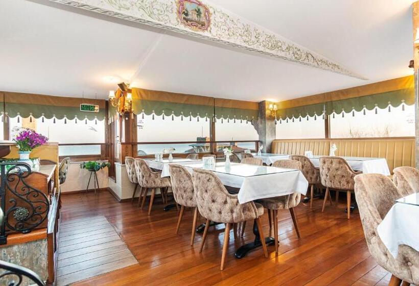 Alzer Hotel Special Class