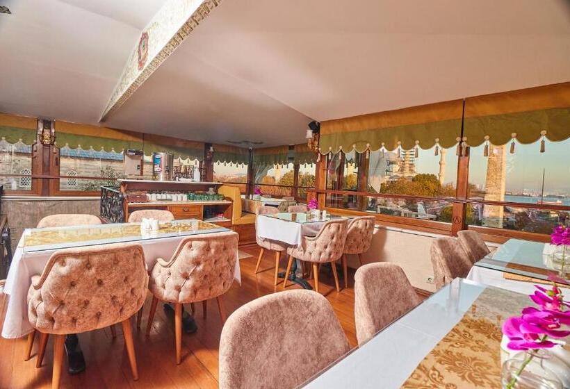 Alzer Hotel Special Class