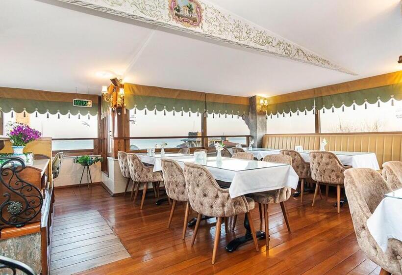 Alzer Hotel Special Class