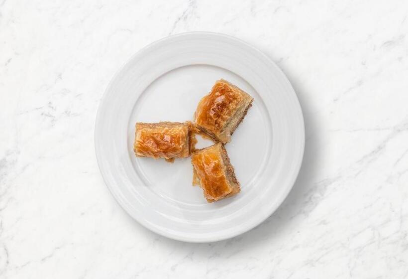 Alzer Hotel Special Class