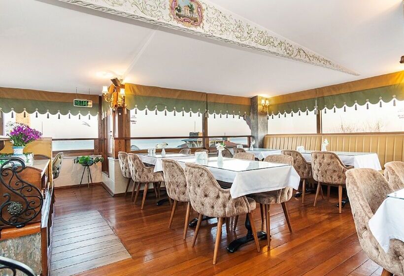 Alzer Hotel Special Class