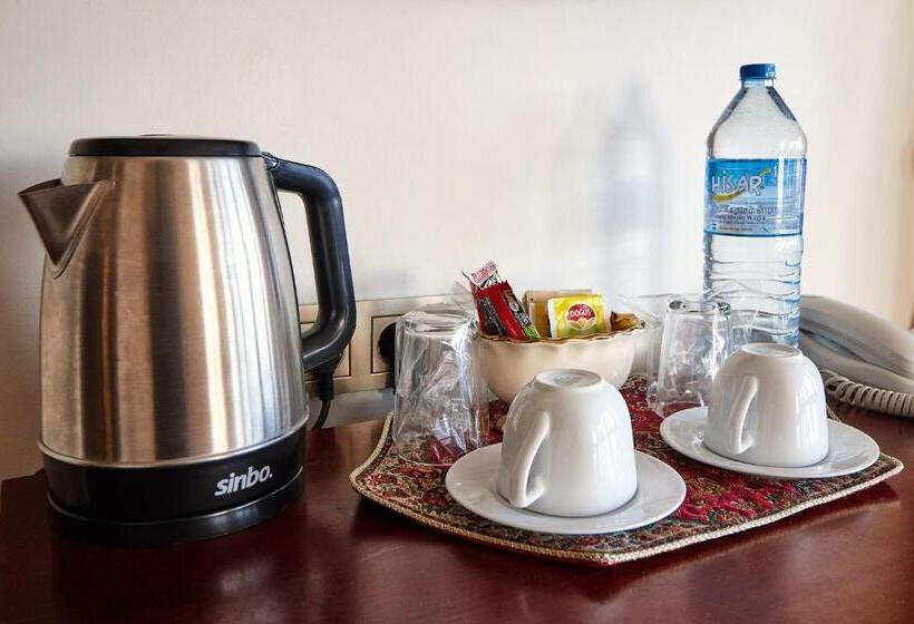 Alzer Hotel Special Class