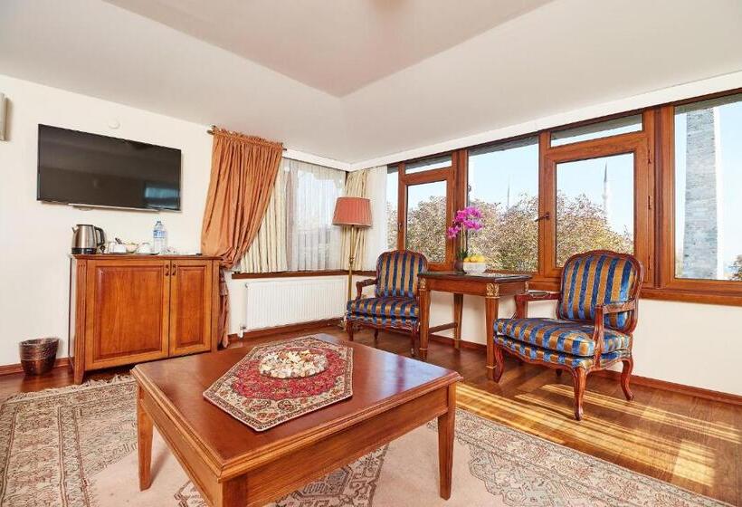 Alzer Hotel Special Class