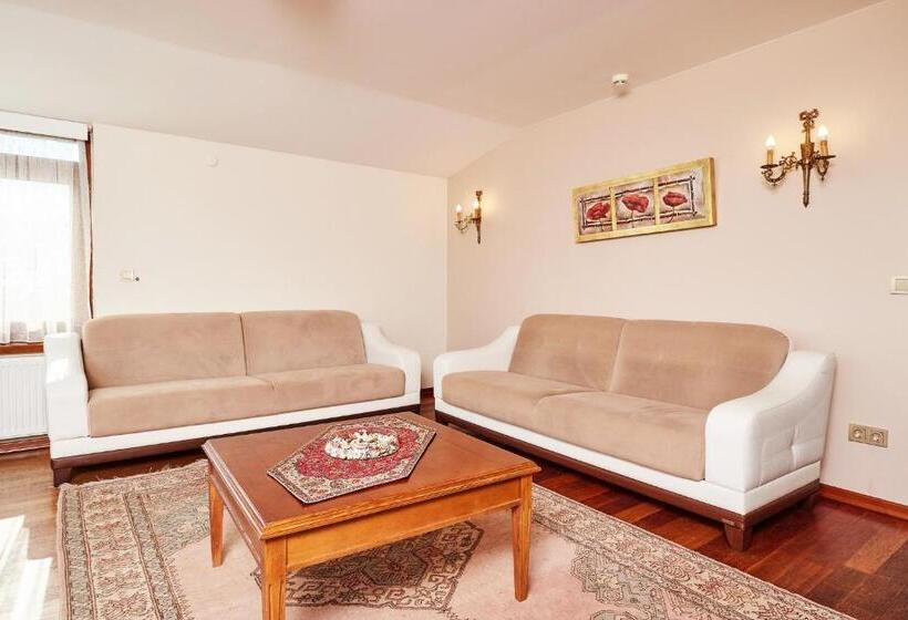 Alzer Hotel Special Class