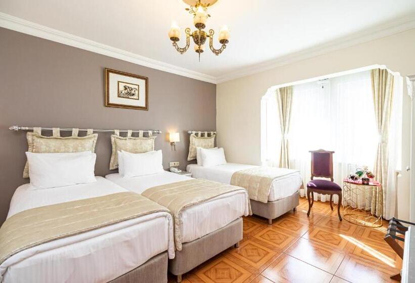 Alzer Hotel Special Class